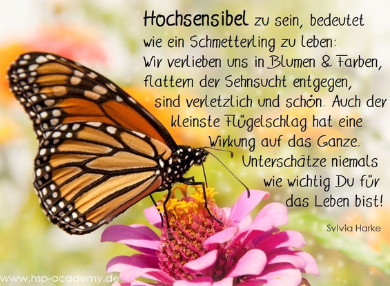 Von der Raupe zum Schmetterling, eine Parabel für Hochsensible