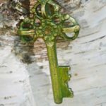 Schlüssel vor einer Birke, Header Bild