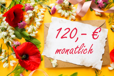 shutterstock_1753659278-120-Euro-Monatlich