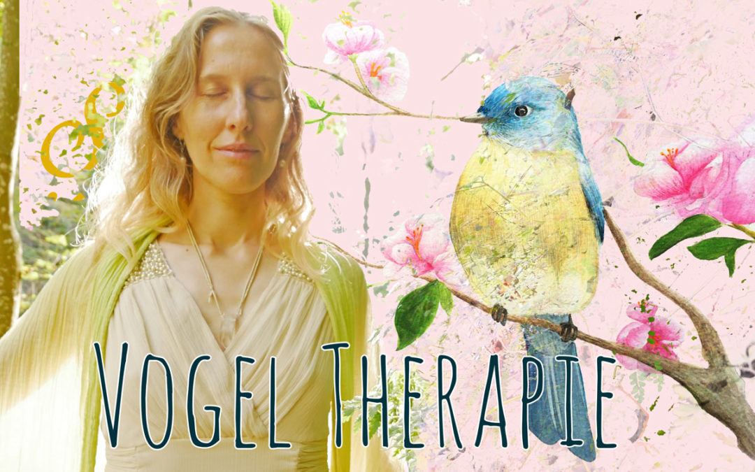 Vogeltherapie & Seelenvögel