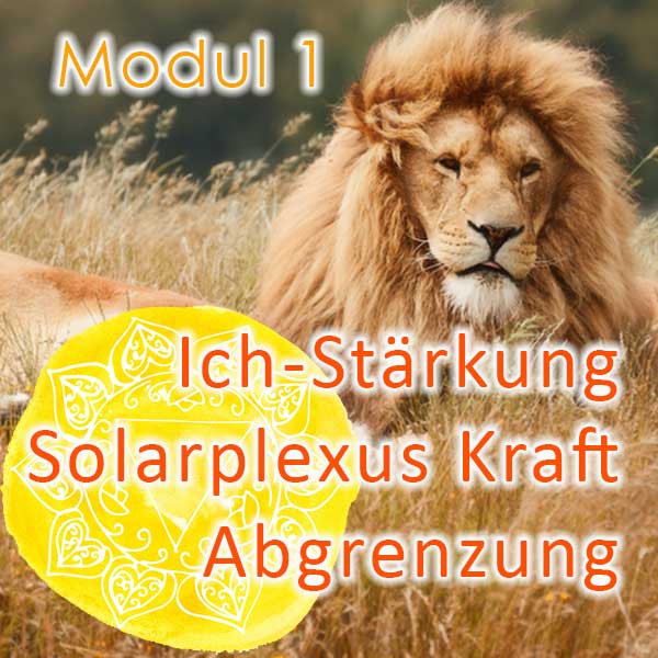 Modul-1-Abgrenzung, HSP Coach Ausbildung