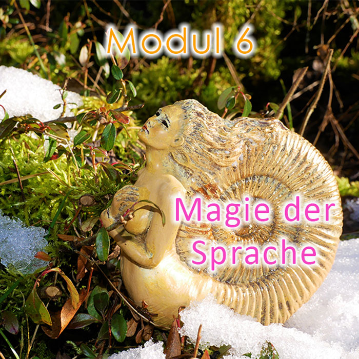 Modul-6-Sprache