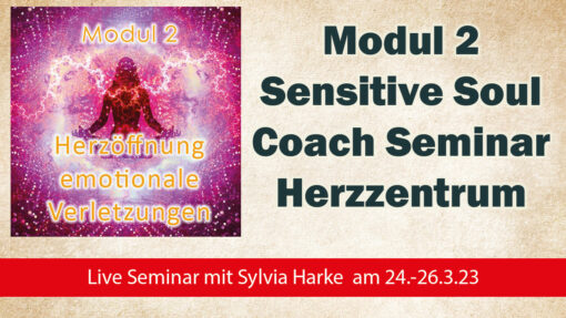 HSP Coach Ausbildung, Herzöffnung mit Sylvia Harke