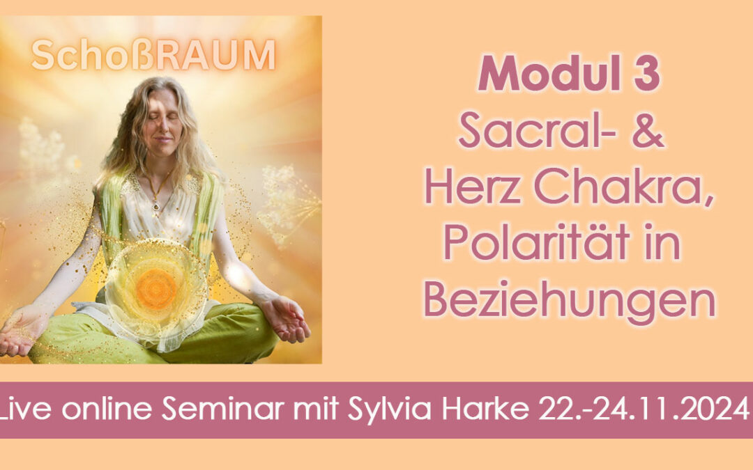 Modul 3 Sensitive Soul Coach Ausbildung