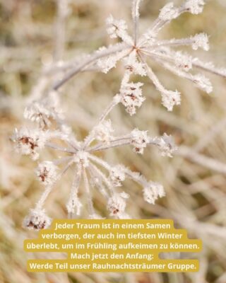 Tor zum Neujahr 2025 / 2026