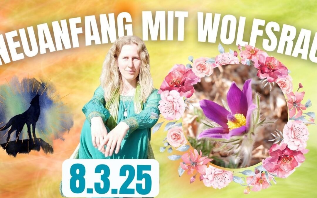 Wolfsfrau Seminar