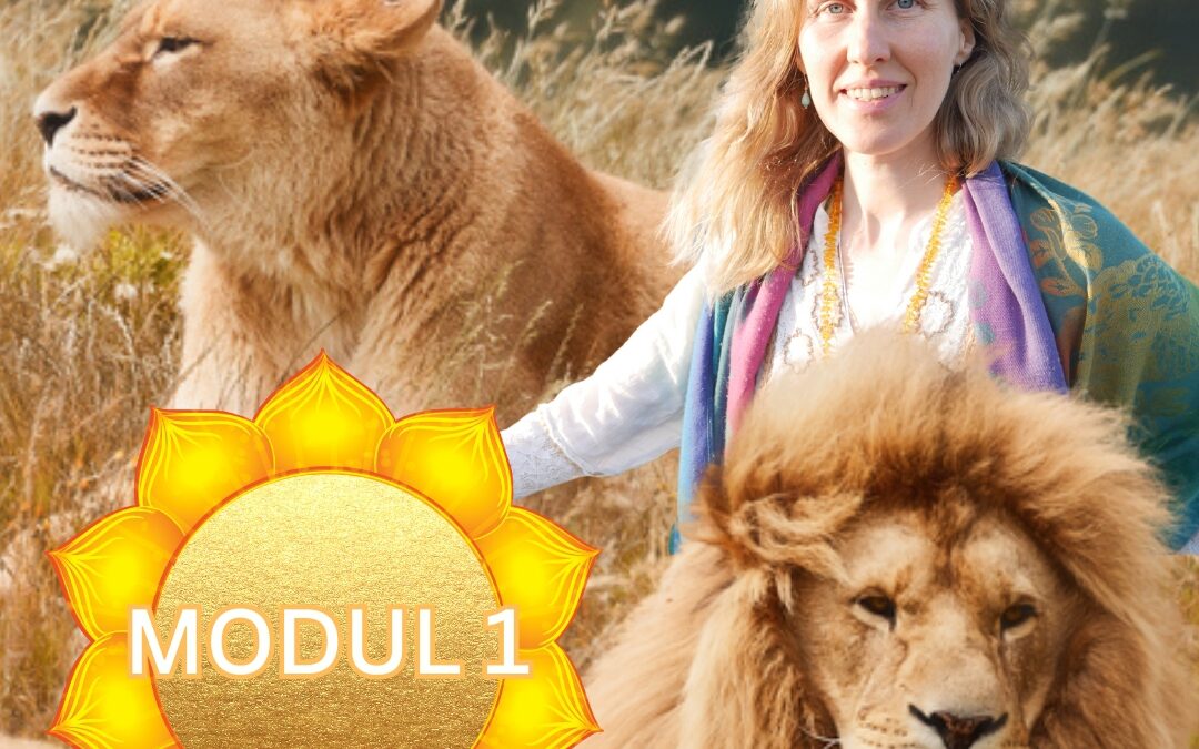 Modul 1 Sensitive Soul Coach Ausbildung