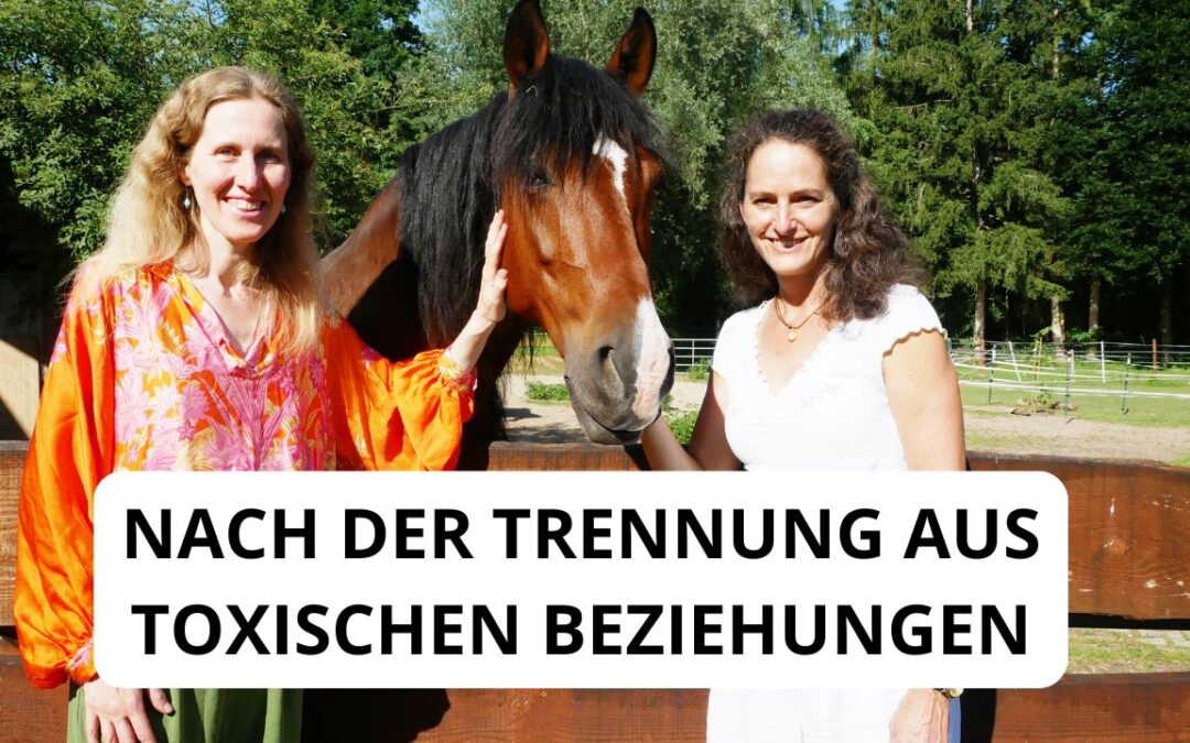 Frei von toxischen Beziehungen