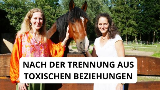 Frei von toxischen Beziehungen